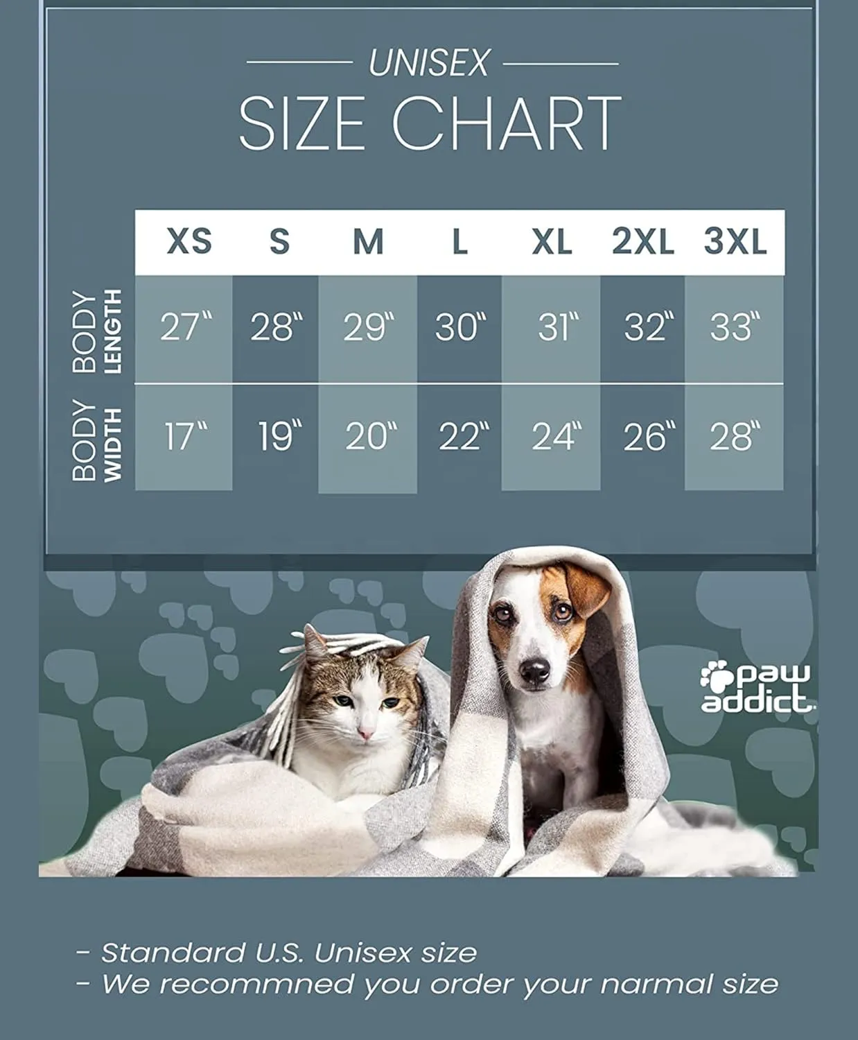 Paw Addict Long Sleeve Graphic Tshirts | Paw Flag Rescue Cross Novelity Shirt for Cat & Dog Lovers
